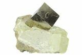 .82" Shiny, Natural Pyrite Cube In Rock - Navajun, Spain - #131141-1